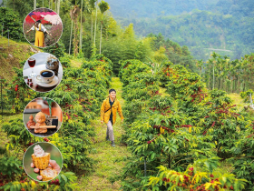 寶島限定！ 春日產地巡禮