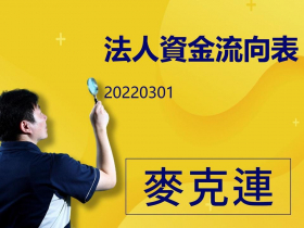 【麥克連】20220301法人資金流向表