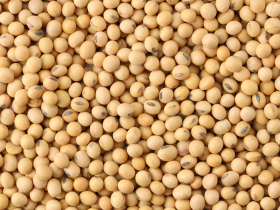 存股助理第144期︱大成踢出存股池，金旺組合小白版績效追蹤