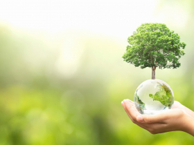 投資我們的地球！綠色冀泉協力全國育成中心大聯盟　合力種台灣國寶樹