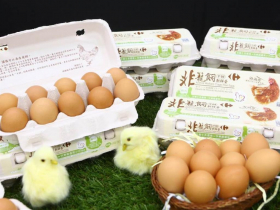 家樂福獲英國「金蛋獎」，非籠飼蛋、放牧蛋這3天打9折！一顆蛋讓世界看到台灣