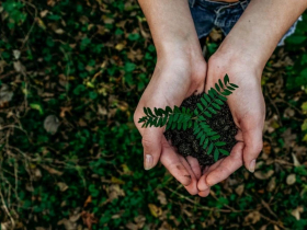 追求「義利雙收」  影響力世代正式來臨   全台首份「影響力投資指數」  台灣投資人對影響力投資意願   高達81.6分