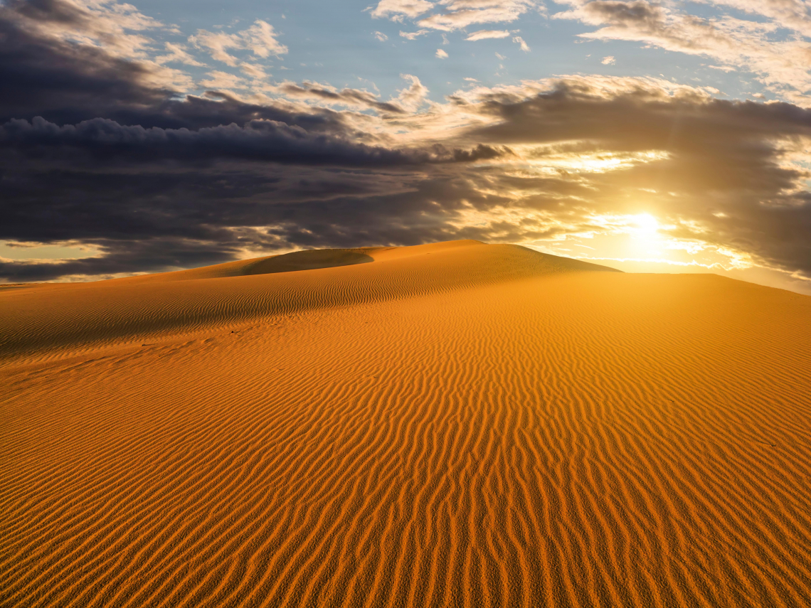 二氧化碳濃度創400萬年新高！科學家：世界正夢遊著走向災難