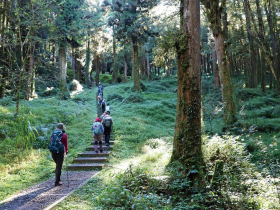 超動感夏日度假提案