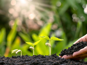 存股助理第189期︱台肥—進入租金收益成長期，重心移轉至新竹