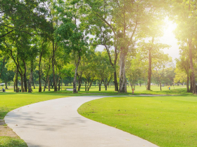 存股助理第190期︱台股正式進入熊市，請綁好您的安全帶