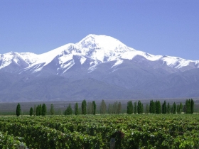 安地斯山  美酒兩樣情