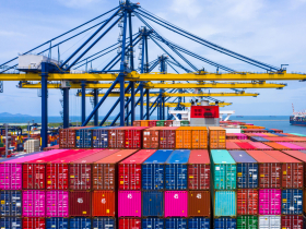 運價重跌逾6成專家點2原因...「巨型韭菜」中環認賠急斷尾？大砍陽明虧2114萬