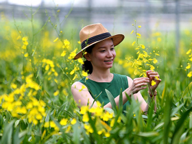 台北國際旅展  農漁山林食宿遊禮商品一次購足