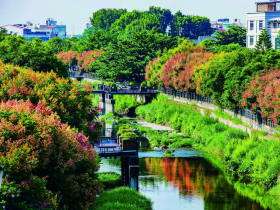 進步城市的象徵 設高標！從此改頭換面