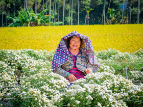 浪漫台三線》乘著風，尋訪秋之美味 九降風之旅~銅鑼竹北
