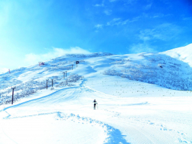 悶壞了！頂級旅遊超搶手 奔向日本，滑雪團費貴三成仍夯爆！