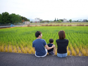 他掏錢買飯才幾秒「差點失去2歲兒」：綁牽繩會被說當狗…能在行人地獄長大成人肯定超級人種
