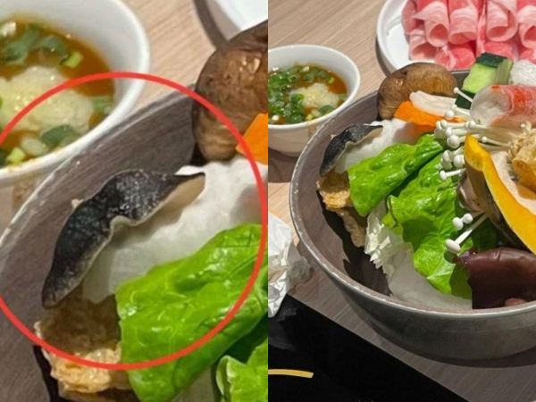 火鍋菜盤驚見「大蛞蝓」！誤食恐腦膜炎，業者道歉了…19歲男活吞牠竟癱瘓，醫：爬過的菜都可能傳染 - 今周刊