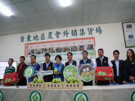 台東鳳梨釋迦輸出大陸 縣府訂檢疫規範 3/22赴對岸說明