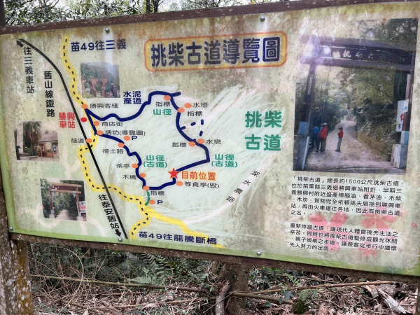 捷兔苗栗特跑！百年歷史景點挑柴古道引人入勝，隧道摸黑前進...謝金河：一次完美的RUN！ - 今周刊
