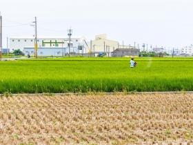 看現況》台灣「水龍頭王國」 竟藏身特定農業區 頂番婆居民心聲：過去都不管  現在卻要拆