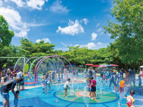 親水戲水 涼一「夏」 夏日．消暑趣