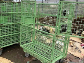 司機送郵件「順便」盜賣籃車！中華郵政追查竟多達242台　回收商PO網銷售才被揭發