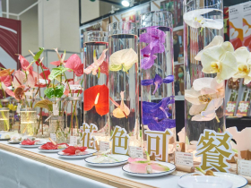 2023臺灣花卉品種推介會 全臺最大花卉品種交流會 國人研發新品搶先曝光