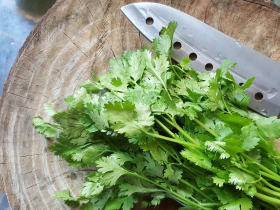 芫荽教徒看過來！香菜買都一大把，「吃的速度趕不上變黑速度」⋯達人教3招保存：兩個月仍翠綠