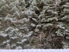 合歡山下雪「一片銀色糖霜」美炸，追雪客等到嗨翻！專家曝「下波冷氣團」報到時間：聖誕節剩10度