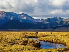 如果第三次世界大戰爆發「住哪裡最安全」？全球12國上榜「其中2個」在亞洲