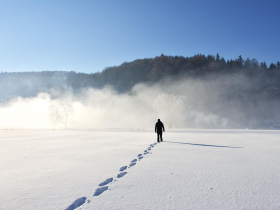 存股助理第444期︱存股池年度檢討系列7—敦陽科、精誠、揚博