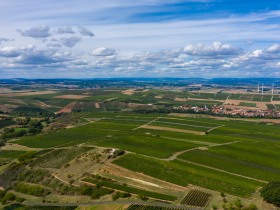 存股助理第446期︱存股池年度檢討系列8—台肥、遠東新、黑松