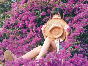 九重葛、黃花風鈴木大盛開！春賞台中季節限定花海