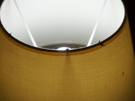 濕氣重、地板反潮…大水螞蟻提早出沒！「白蟻狂飛」3秒片曝光：這種環境牠們最愛築巢