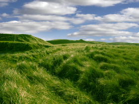 存股助理第484期︱華立、志超第一季財報評析，兼論投資者的不鐵齒哲學