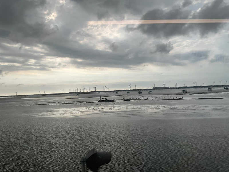 輝達、亞馬遜相繼插旗投資，努力尋找台灣綠電！看好暢旺20年，謝金河：風光發電是未來趨勢