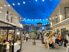 讓「巷仔Niau」貓貓帶路！2024臺灣文博會「Lesson：Ｄ」來臺南修混種必修課