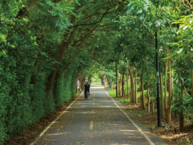 潭雅神綠園道 夢幻森林騎行一日GO