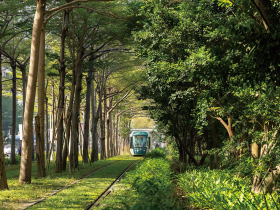 最佳首長信任獎》爭取晶圓廠、招商拚經濟  顧青年築夢未來 振奮民心  四首長期中拿高分