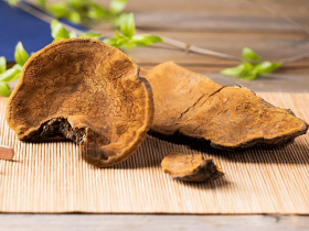 桑黃國寶精粹：自然界的珍寶，為健康提供全方位呵護