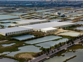 台灣被刮了一耳光