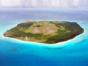 淨零碳排是什麼？2025臺灣政策要知道，信義房屋用行動實踐理念！