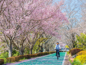 海外單車遊  用雙輪探索世界
