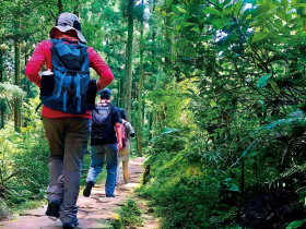 邁開步伐，走路趣！