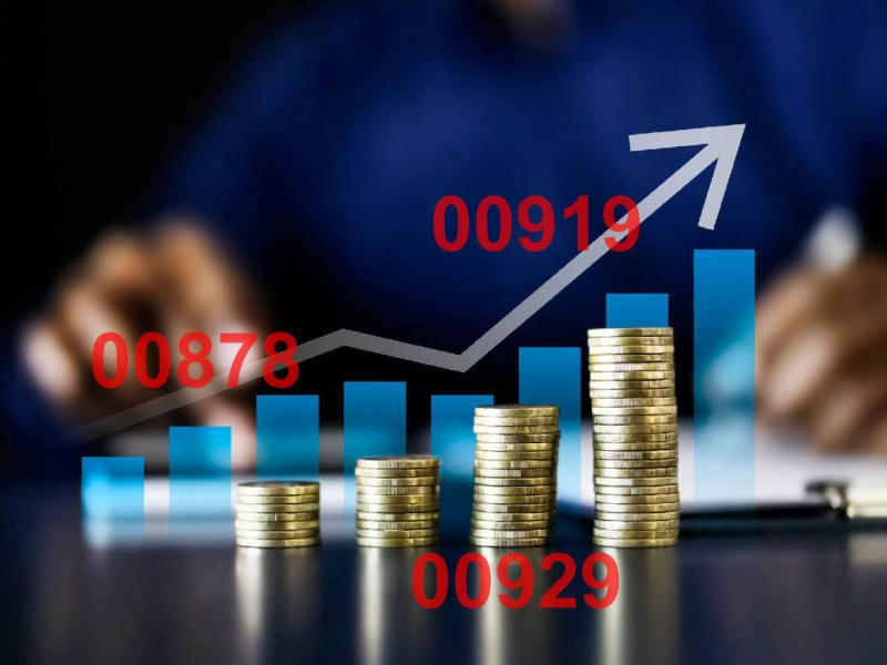 誰說買市值型穩贏？他靠00878、00919...兩年賺進1400萬！小廚師1招「資產放大術」：連00929也抱緊