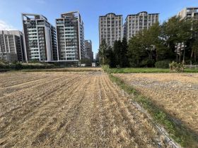 「政治不是人幹的，但一堆人都想參選…」謝金河揭背後誘因：從都市計畫看端倪，一條馬路兩個世界