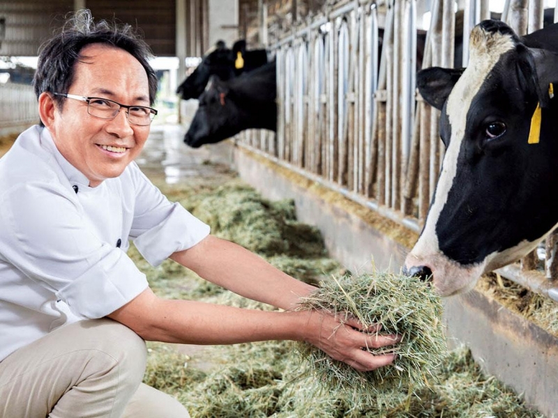 化在口中的牛奶