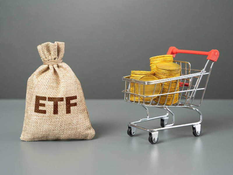 不是0056，這檔殖利率衝14％奪冠！00900、00929、00882...盤點41檔1月除息ETF：8％配息這樣賺