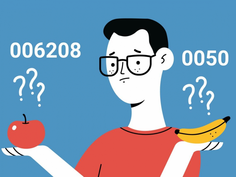 006208最大優勢沒了？0050費用率更低該跳槽？兩大市值型ETF差在哪？看完10點比較答案浮現