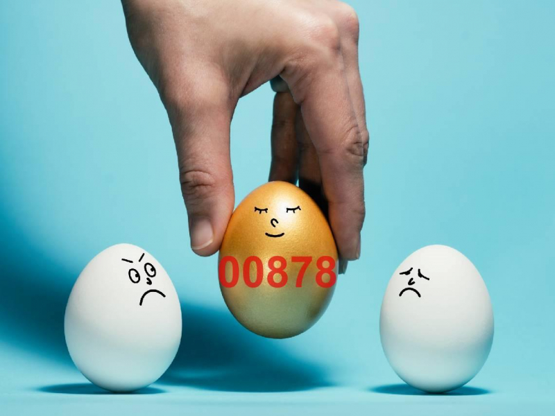 00878年化配息撐住9％，00929只剩3％多...高股息ETF還能買？達人揭「5條件選股」：別執著配息數字