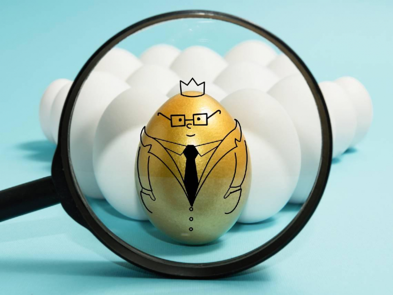 006208人氣首度超越0050，原因曝光！定期定額該買哪一檔？兩年大賺160％，存股黑馬其實是它