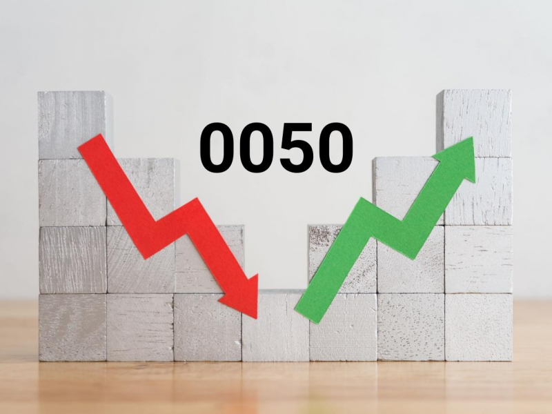 All in 0050、006208穩賺不賠？達人搖頭「股海無情」...為何建議新手投資ETF第一年「一半買高股息，一半買大盤型」