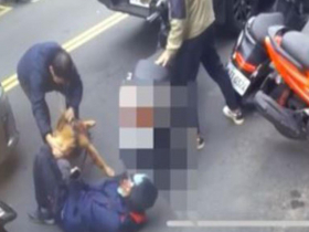 同一隻比特犬又咬騎士！11天前才闖禍今再「開窗跳車」，飼主最高恐罰15萬…動保處回應了